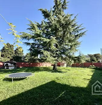 Foto annuncio 14