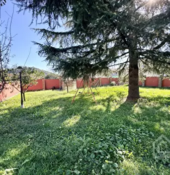 Foto annuncio 29