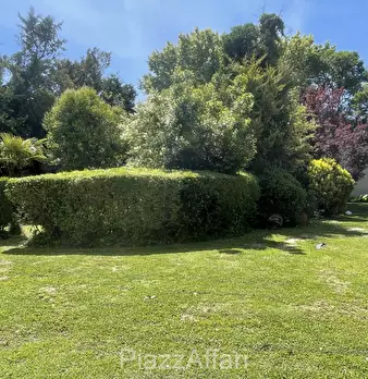 Foto annuncio 7