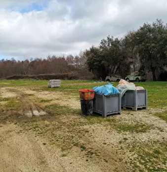 Foto annuncio 18