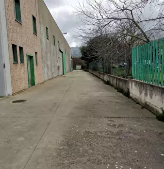 Foto annuncio 19