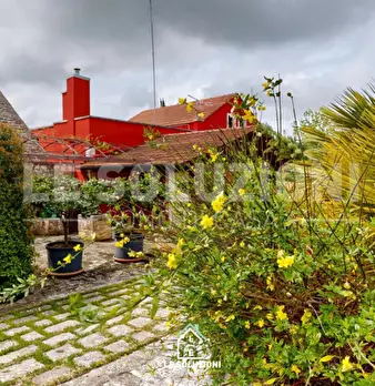 Foto annuncio 13