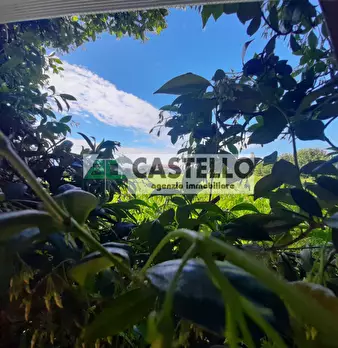 Foto annuncio 22