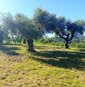 Foto annuncio 3