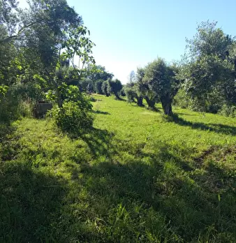 Foto annuncio 6