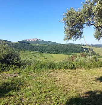 Foto annuncio 8
