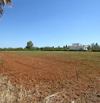 Foto annuncio 14