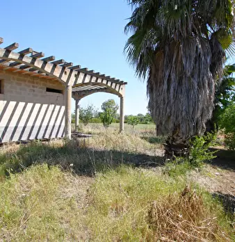 Foto annuncio 18