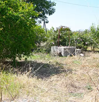 Foto annuncio 25