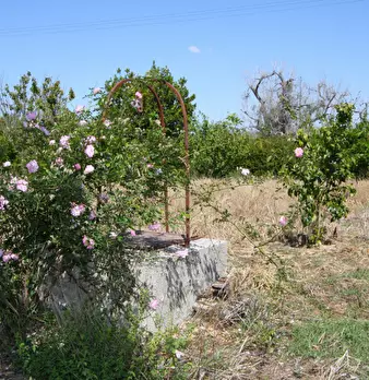Foto annuncio 27
