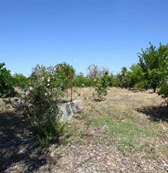 Foto annuncio 28