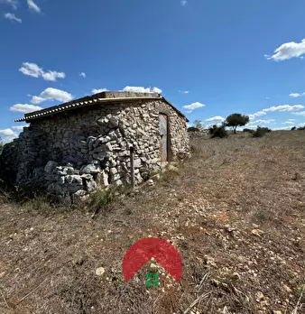 Foto annuncio 3