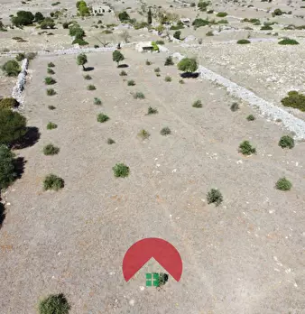 Foto annuncio 11