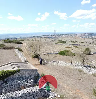 Foto annuncio 14