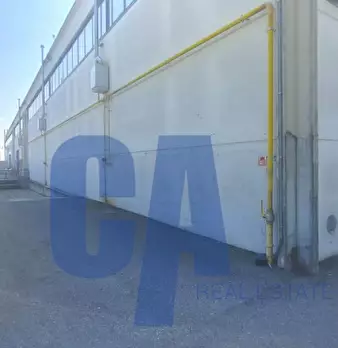 Foto annuncio 24