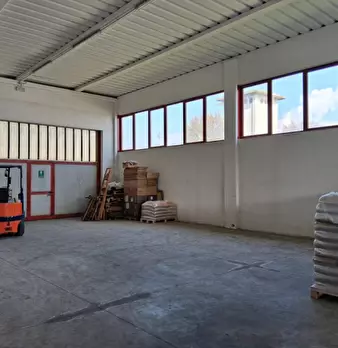 Foto annuncio 5