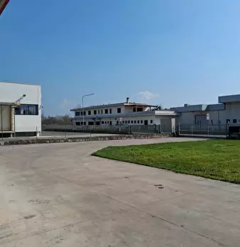 Foto annuncio 7