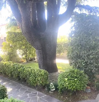 Foto annuncio 6
