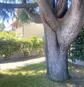 Foto annuncio 28