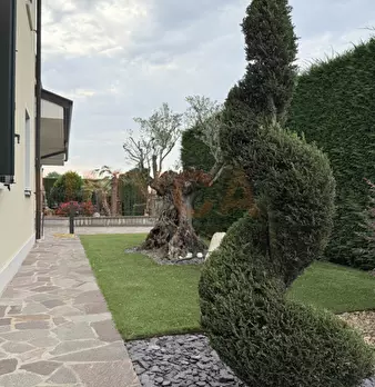 Foto annuncio 43