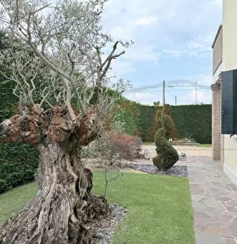 Foto annuncio 47
