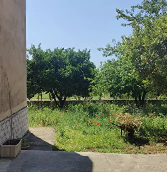 Foto annuncio 23