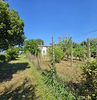 Foto annuncio 2