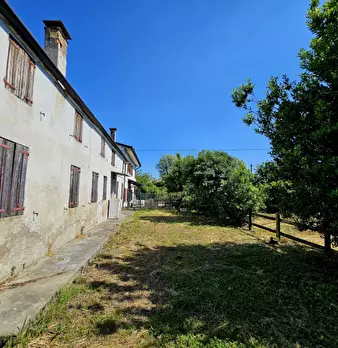 Foto annuncio 6