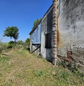 Foto annuncio 9