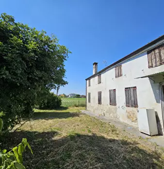 Foto annuncio 10