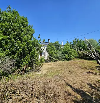Foto annuncio 12