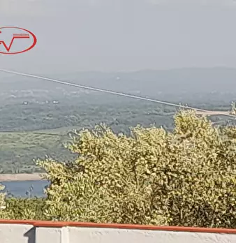 Foto annuncio 14