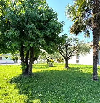 Foto annuncio 5