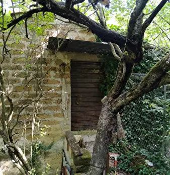 Foto annuncio 4