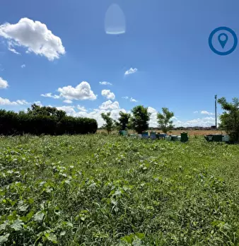 Foto annuncio 3