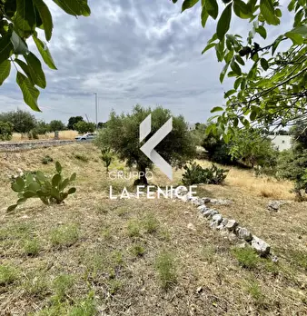Foto annuncio 53