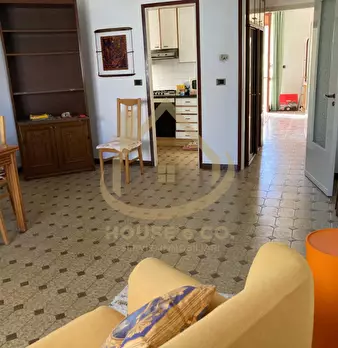 Foto annuncio 46