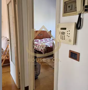 Foto annuncio 51