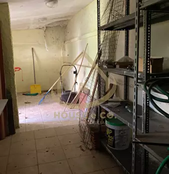 Foto annuncio 61