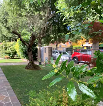 Foto annuncio 8
