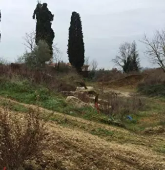 Foto annuncio 5