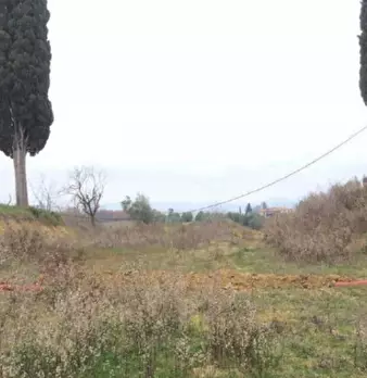 Foto annuncio 8
