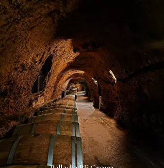 Foto annuncio 20