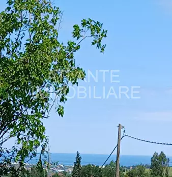 Foto annuncio 4