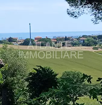 Foto annuncio 6