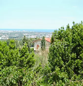 Foto annuncio 7