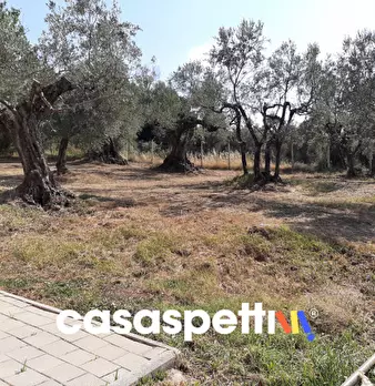 Foto annuncio 7