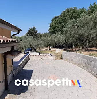 Foto annuncio 8