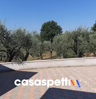 Foto annuncio 10