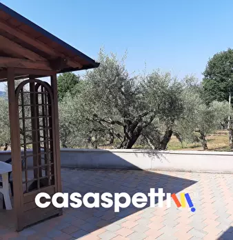 Foto annuncio 11